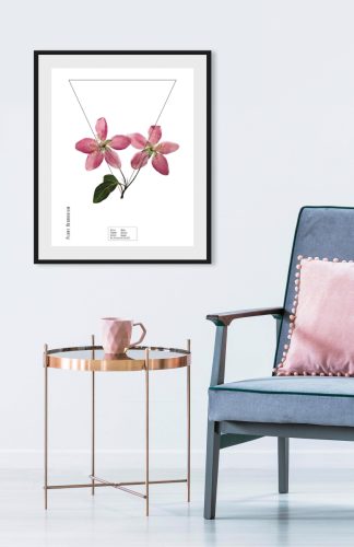 andas Wanddecoratie Pflanze Malus met frame