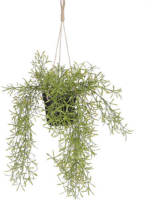Mica Decorations kunstplant Rhipsalis