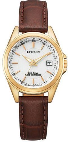 Citizen Radiografisch horloge EC1183-16A