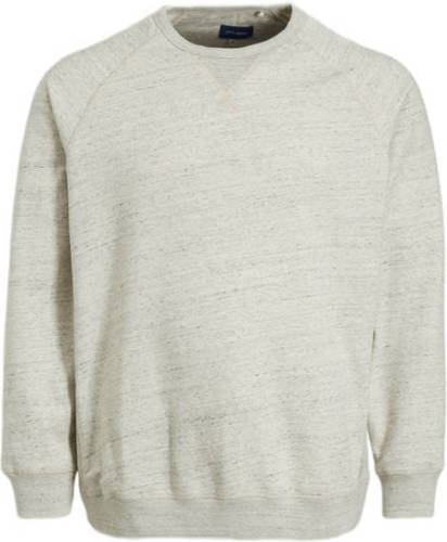 Blend Big gemêleerde sweater BHAlton Plus Size stone mix