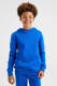 WE Fashion Blue Ridge hoodie kobaltblauw
