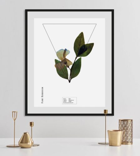 Geska andas Wanddecoratie Pflanze Vinca met frame