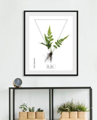 Geska andas Wanddecoratie Pflanze Fem met frame