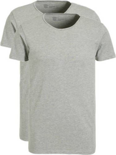 Petrol Industries T-shirt (set van 2) grijs