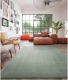 Dutch Lifestyle Vloerkleed New York 290x200 cm groen