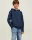 Jack & Jones JUNIOR hoodie JJESTAR met tekst donkerblauw