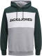 Jack & Jones ESSENTIALS hoodie JJELOGO BLOCKING met logo pine grove