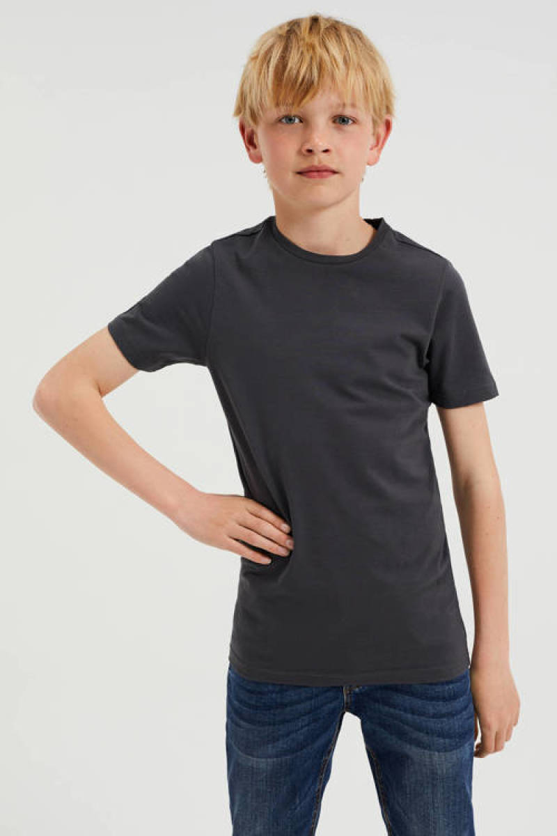 WE Fashion basic T-shirt grijs