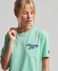 Superdry T-shirt met printopdruk lichtgroen