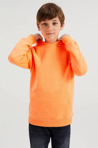 WE Fashion Blue Ridge unisex hoodie oranje