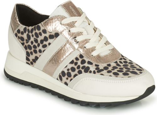 Lage Sneakers Geox  TABELYA