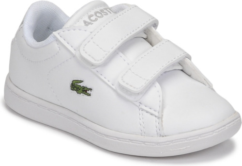 Lage Sneakers Lacoste  CARNABY EVO BL 21 1 SUI
