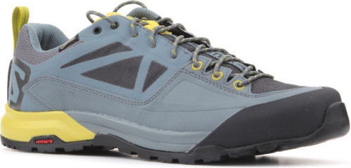 Lage Sneakers Salomon  Trekking shoes  X Alp SPRY GTX 401621