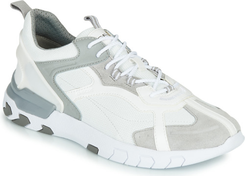 Lage Sneakers Geox  U GRECALE