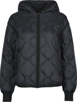 Donsjas Esprit  PAR LL ROUND QU