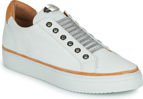 Lage Sneakers Adige  QUANTON4 V8