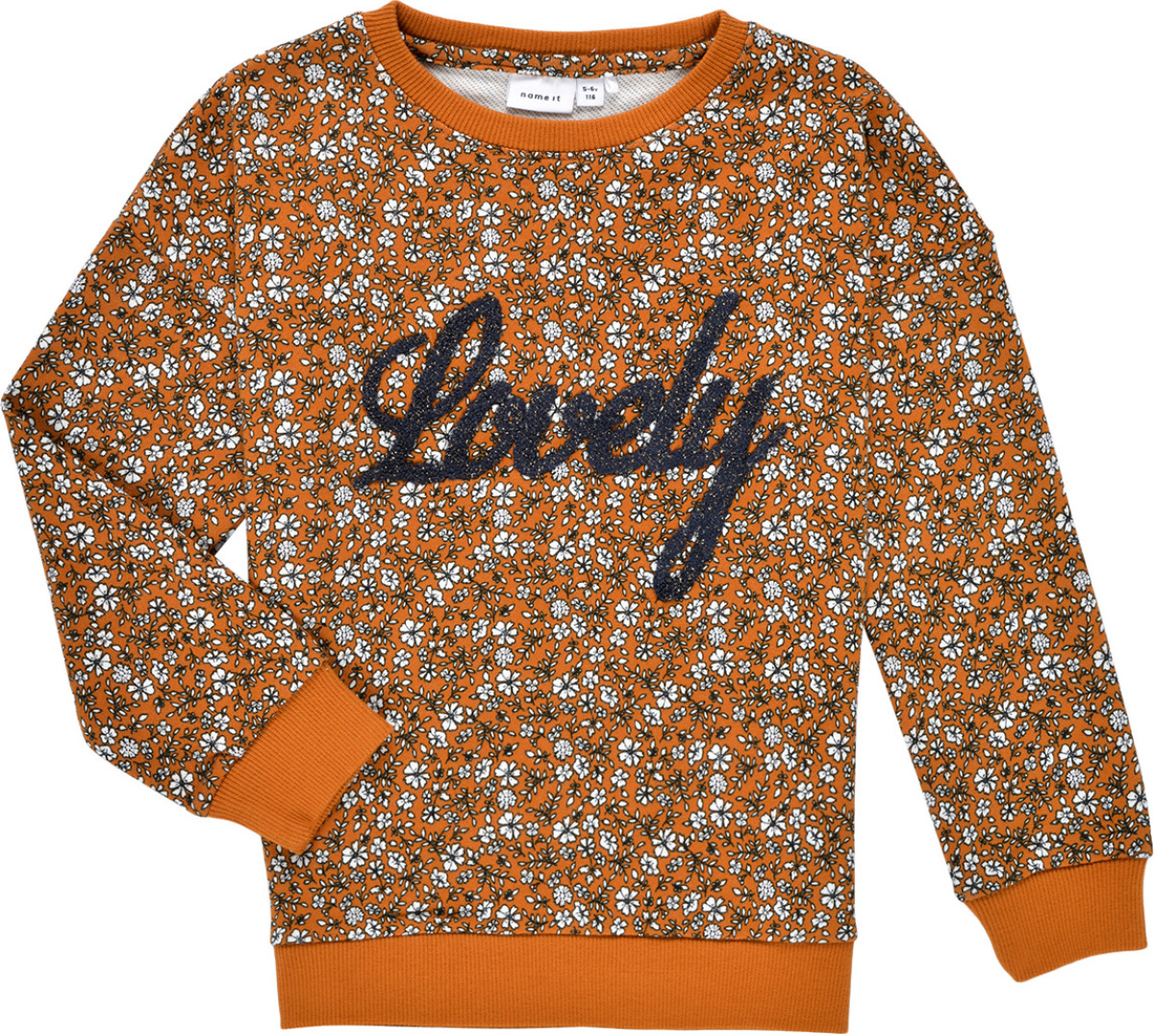 Sweater NAME IT  NKFKAFRA LS SWEAT