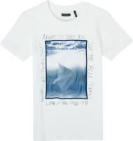 T-shirt Korte Mouw IKKS  XS10033-19-C
