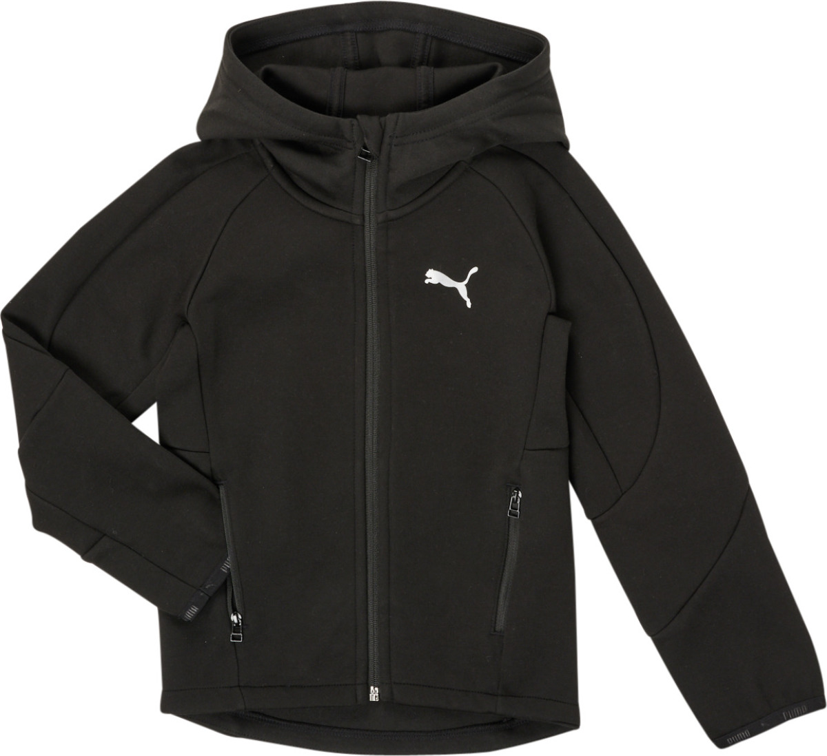 Sweater Puma  EVOSTRIPE FULL ZIP HOODIE