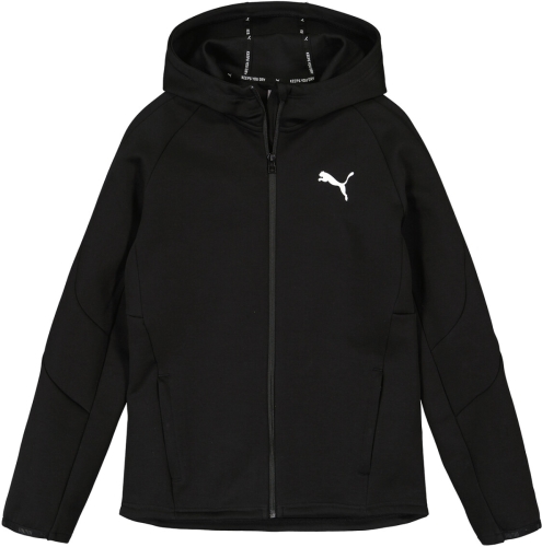Sweater Puma  EVOSTRIPE CORE FZ HOODIE