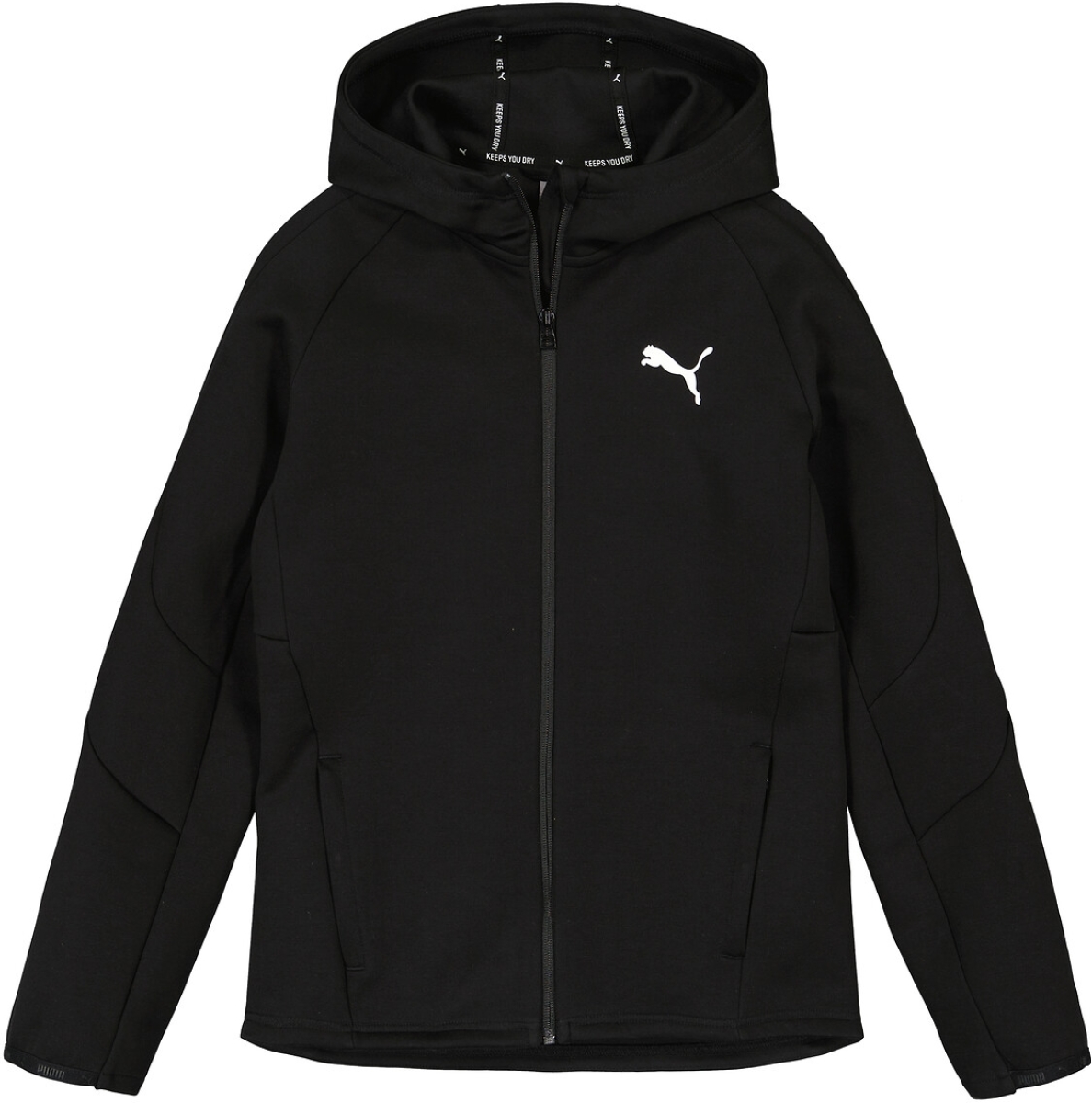 Sweater Puma  EVOSTRIPE CORE FZ HOODIE