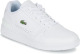 Lacoste Sneakers T-CLIP 0722 1 SMA