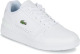 Lacoste Sneakers T-Clip