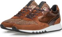 Floris van bommel SFW-10078