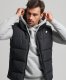 Superdry bodywarmer 02a-black