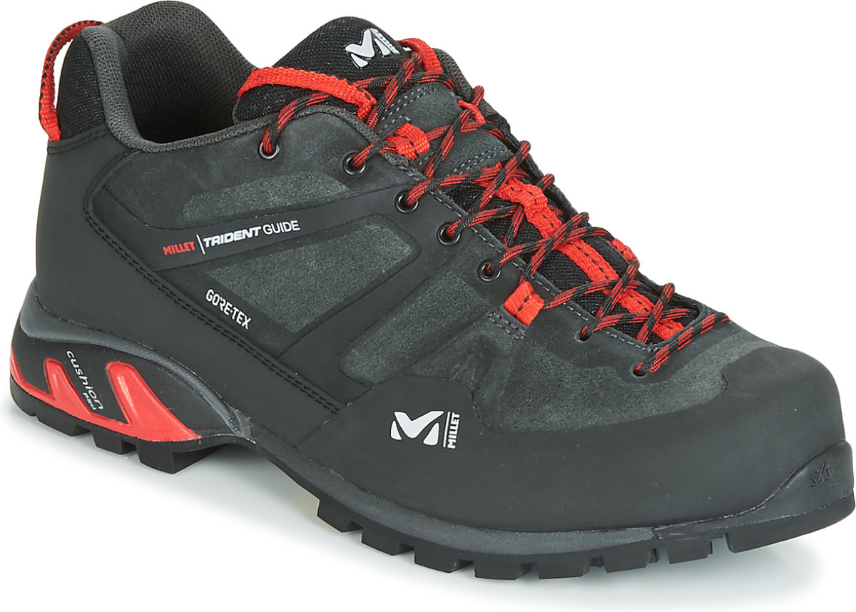 Wandelschoenen Millet  TRIDENT GUIDE GTX
