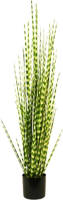 Warentuin Zebra Gras In Pot 150 Cm Groen Kunstplant Buitengewoon De Boet