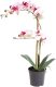 Warentuin Phalaenopsis Orchidee In Pot 50 Cm Roze Kunstplant Nova Nature