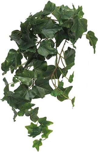Warentuin Ivy Chicago M Kunsthangplant Nova Nature