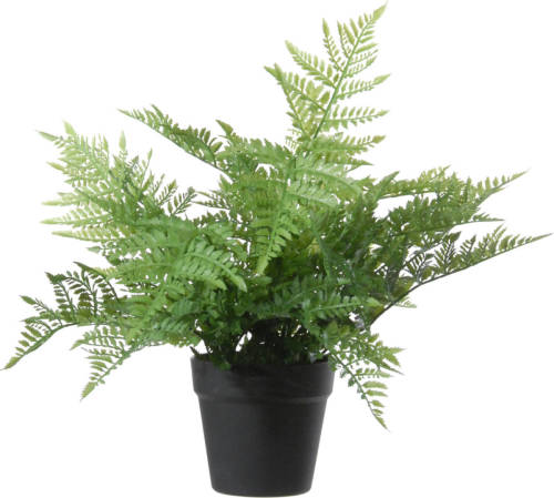 Shoppartners Groene Bosvaren Kunstplant In Zwarte Kunststof Pot 43 Cm - Dryopteris Remota - Woondecoratie