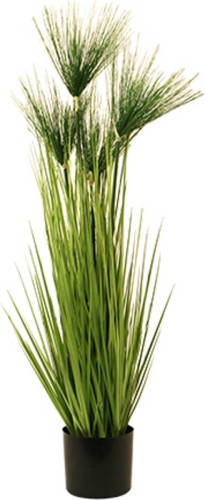 Warentuin Cycas Gras In Pot 100 Cm Groen Kunstplant Buitengewoon De Boet