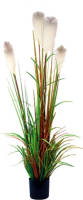 Warentuin Riet Gras In Pot 150 Cm Wit-groen-bruin Kunstplant Buitengewoon De Boet