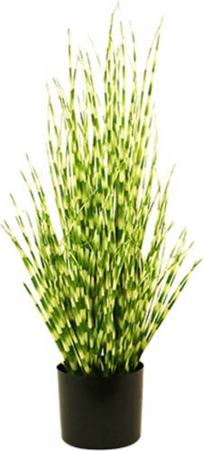Warentuin Zebra Gras In Pot 75 Cm Groen Kunstplant Buitengewoon De Boet