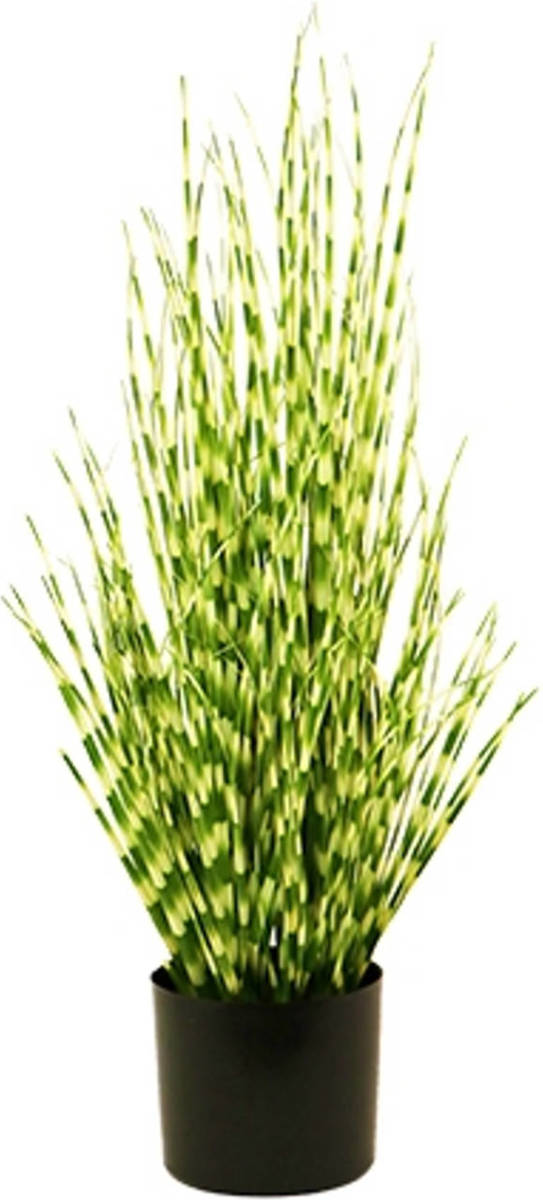 Warentuin Zebra Gras In Pot 75 Cm Groen Kunstplant Buitengewoon De Boet
