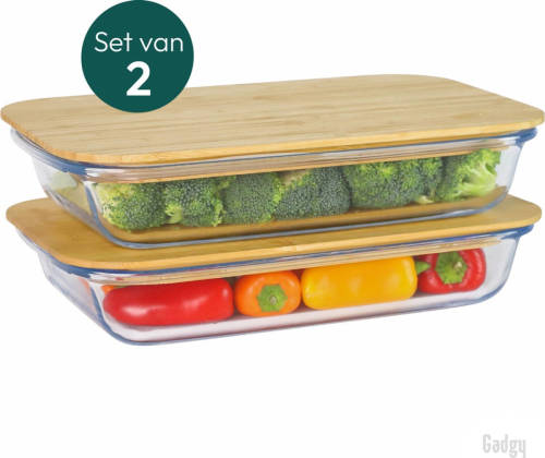 Gadgy Glazen Vershoudbakjes - 2 Bakjes Met Deksel - Meal Prep - Bpa-vrij - Diepvries / Magnetron / Oven / Vaatwasser