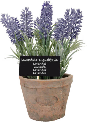 Shoppartners Kunstplant Lavendel In Terracotta Pot 23 Cm - Kunstplanten/nepplanten