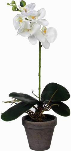 Mica Decorations Phalaenopsis Orchidee Kunstplant Wit In Pot H48 X D13 Cm Cm - Kunstplanten/nepplanten Met Bloemen