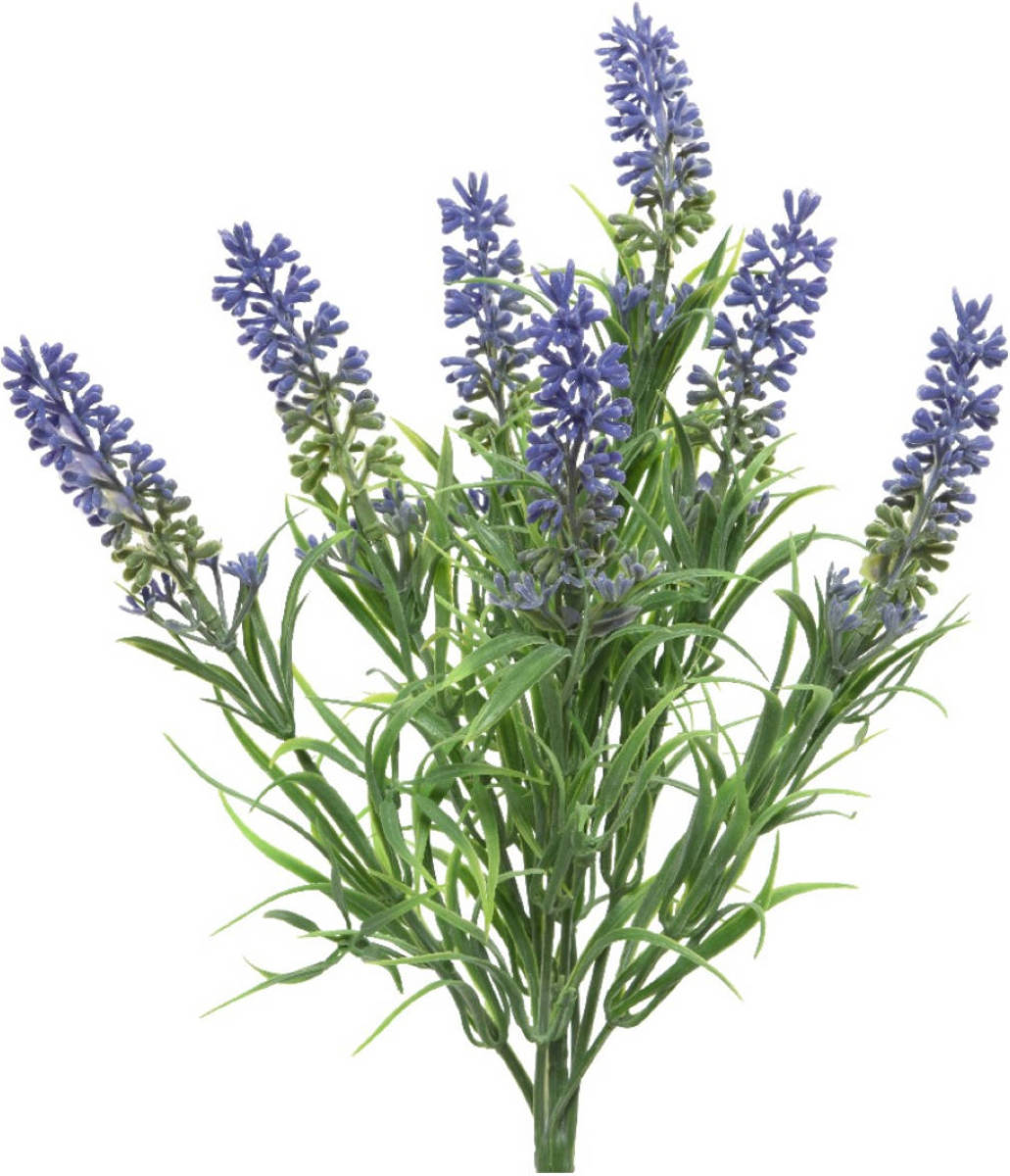 Shoppartners Lavender Plastic L13-w13-h34cm Purple