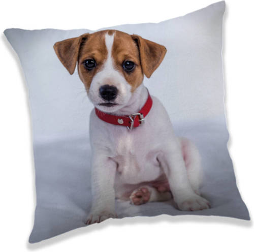 SimbaShop Animal Pictures Kussen Puppy - 40 X 40 Cm - Polyester