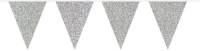 Shoppartners Vlaggenlijn Glitter Zilver (6 Meter)