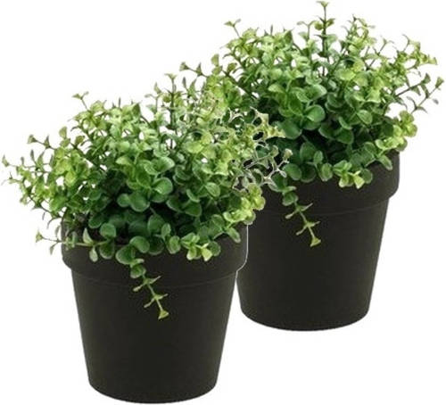 Shoppartners 2x Kunstplant Eucalyptus Groen In Zwarte Pot 20 Cm - Kunstplanten