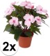 Shoppartners 2x Stuks Kunstplanten Roze Bloemen Vlijtig Liesje In Pot 25 Cm