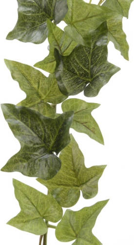 Shoppartners Groene Hedera Helix/klimop Kunstplant Slinger 180 Cm - Kunstplanten/nepplanten - Hangplanten