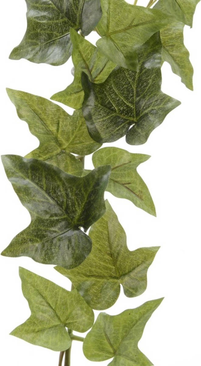 Shoppartners Groene Hedera Helix/klimop Kunstplant Slinger 180 Cm - Kunstplanten/nepplanten - Hangplanten