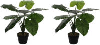Mica Decorations 2x Groene Colocasia Taro Kunstplanten In Zwarte Pot 60 Cm - Kunstplanten