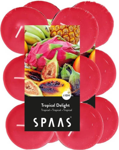 Shoppartners 24x Maxi Theelichten Tropische Vruchten Geurkaarsen Tropical Delight 10 Branduren - Geurkaarsen